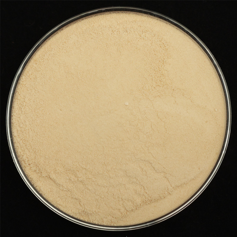 Amino Acid Fertilizer Powder 40% for Crop Stress